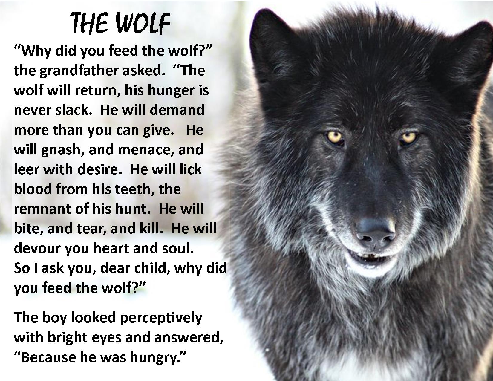 Слово wolf. Волк на английском языке. Черный волк по английскому. Волк на английском Wolf. Проект о волке на английском.